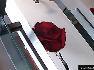 shemale lavinia magalhaes trading blowjobs