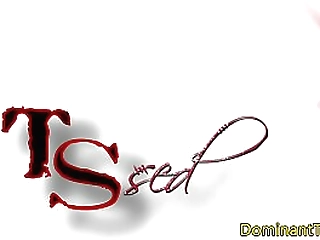 busty transgender sucks guys cock at the bar