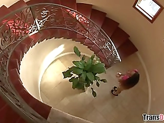 ts babysitter honey foxxx