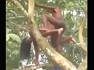 big ass blonde ts sarina valentina fucked deeply by lucky prick