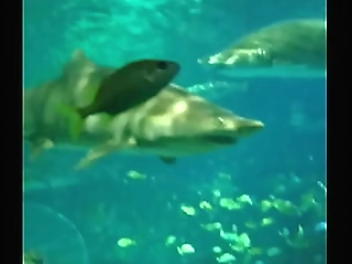 trim.fbab5bbc-f06b-4393-887b-3a06a53fd904.mov