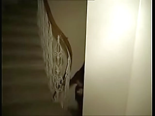 cock-hungry transgirls fuck each other!