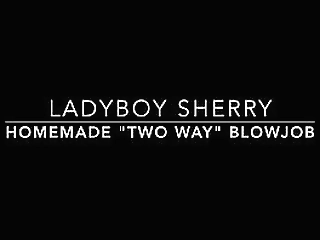 ladyboy sherry pov two way blowjob