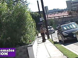 busty tgirl cockriding while in stockings