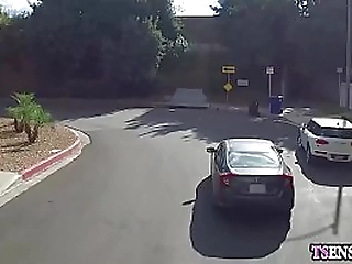 sexy model shemale anal fucked by a friends stepbrother