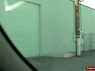 busty ts jessy dubai dick sucked by and anal rides cellmate