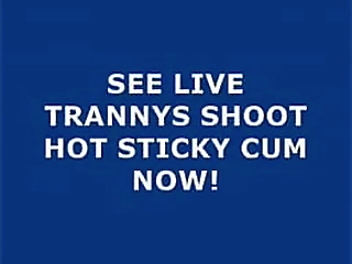 roberto cock sucking and ass fucking ebony tgirl veronika