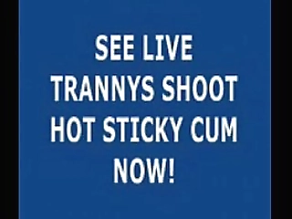 shemale cums on flat stomach then eats cum