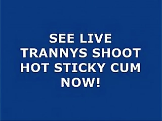 hot brunette ladyboy candy stripping and fucking big blue dildo