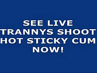 brazilian shemale duda dihil strokes her dick for you