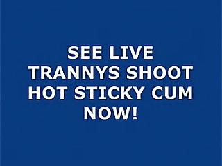 arab shemale's sexiness is undeniably alluring