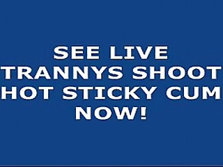 zesty, sultry shemales entice with lascivious charms