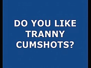 two hot shemales  gabriela martins and tayla trans  sucking and fucking