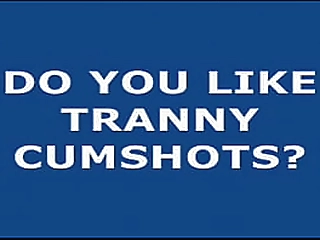 one pussy  one shecock and a black cock enjoy each other