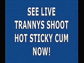 model tranny from brazil andreia scofanny stroking her black cock