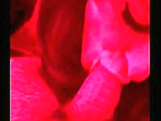 three cumshots in a row