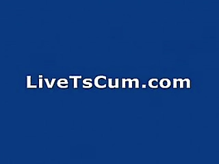 thick tgirl cock oozes cum