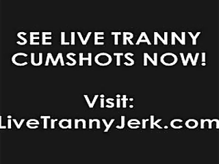 sissy slut wendy jane sunday is fuckday. part 2 at dickgirls.xyz