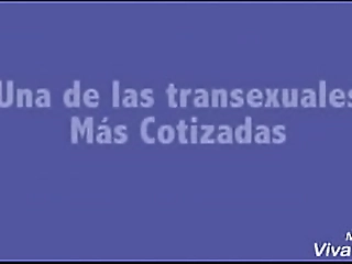 st&reg_ frindys www.solotrans.vze.com